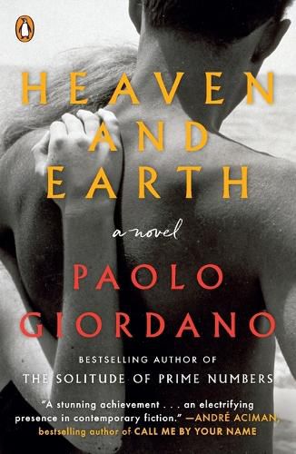 Cover image for Heaven and Earth: A Novel