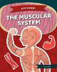 Cover image for The Muscular System