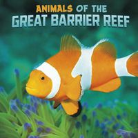 Cover image for Animals of the Great Barrier Reef