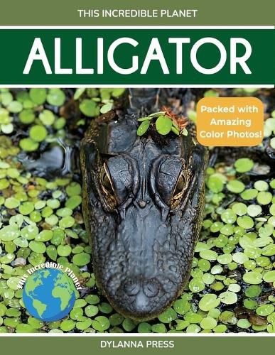Cover image for Alligator