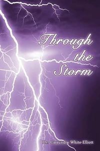 Cover image for Through the Storm