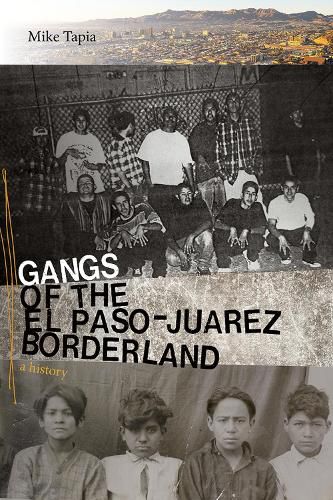 Cover image for Gangs of the El Paso-Juarez Borderland: A History