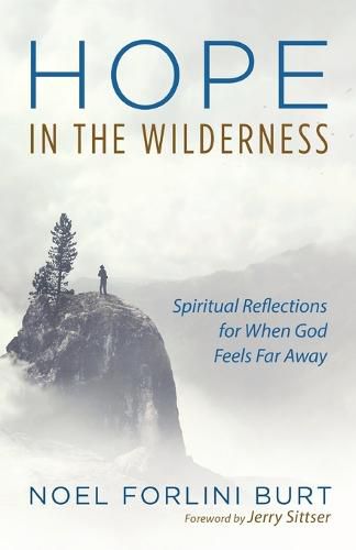 Cover image for Hope in the Wilderness