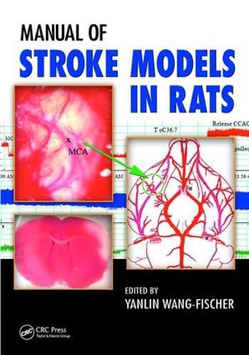 Cover image for Manual of Stroke Models in Rats