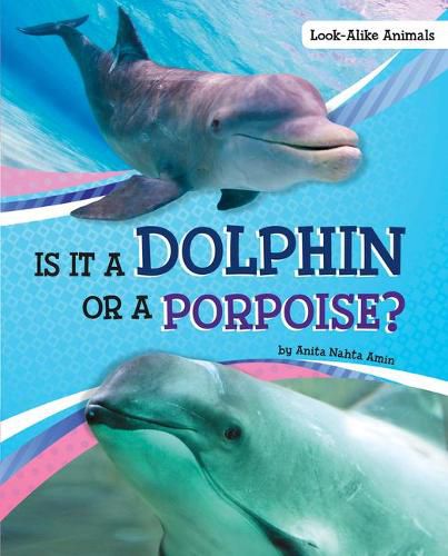 Cover image for Is it a Dolphin or a Porpoise