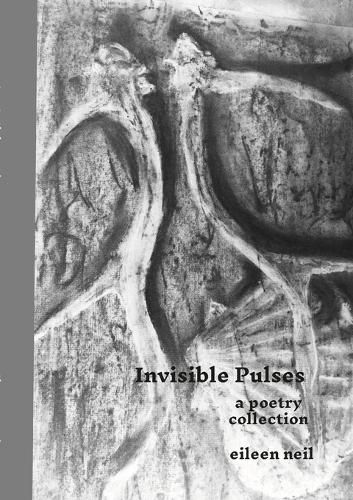 Cover image for Invisible pulses