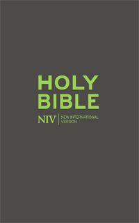 Cover image for NIV Popular Soft-tone Bible with Zip