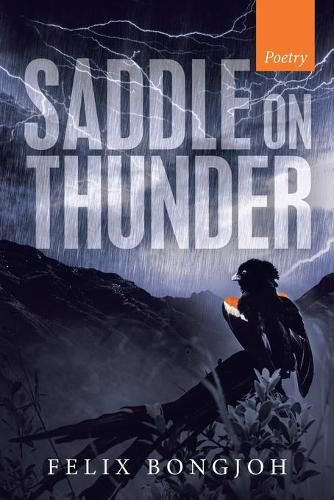 Cover image for Saddle on Thunder