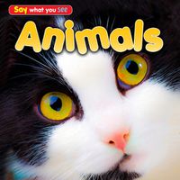 Cover image for Animals