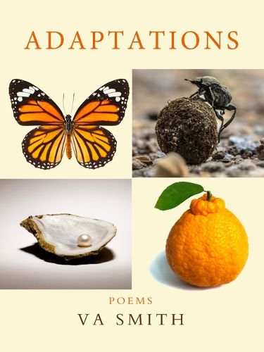Cover image for Adaptations