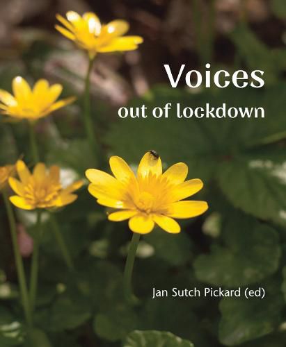 Voices Out of Lockdown