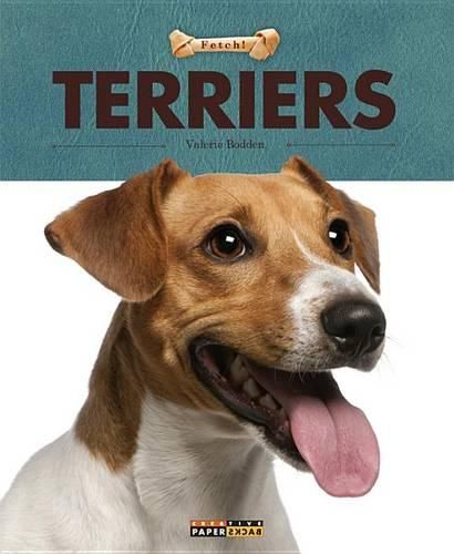 Cover image for Terriers