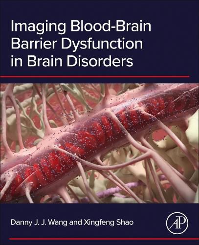 Cover image for Imaging Blood-Brain Barrier Dysfunction in Brain Disorders