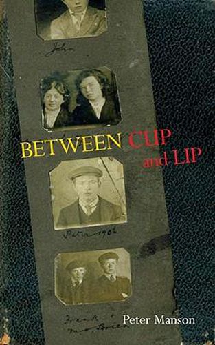 Cover image for Between Cup and Lip