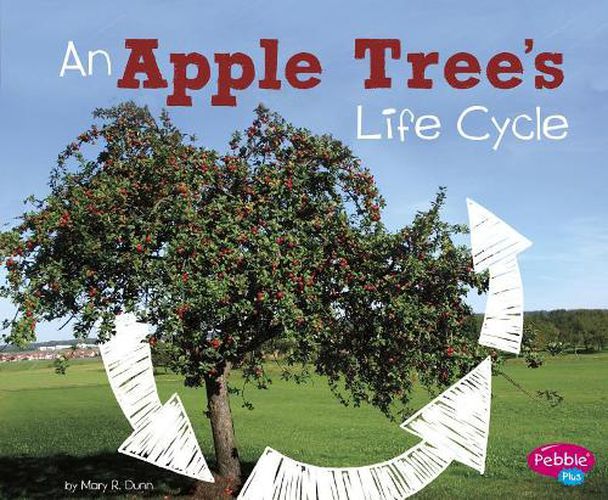 An Apple Trees Life Cycle (Explore Life Cycles)