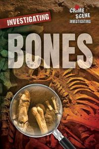 Cover image for Investigating Bones