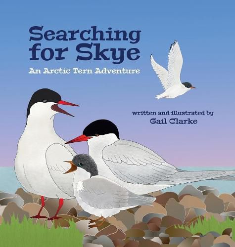 Cover image for Searching for Skye: An Arctic Tern Adventure