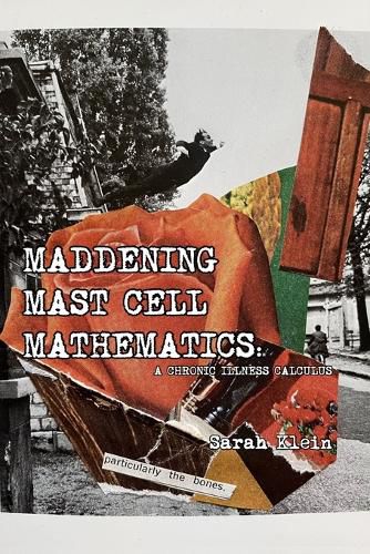 Cover image for Maddening Mast Cell Mathematics