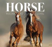 Cover image for Horse: Magnificent, Playful, Loyal
