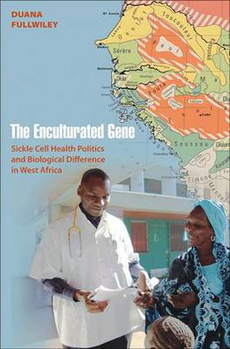 Cover image for The Enculturated Gene: Sickle Cell Health Politics and Biological Difference in West Africa