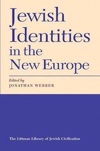 Cover image for Jewish Identities in the New Europe