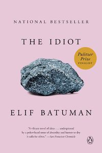 Cover image for The Idiot: A Novel