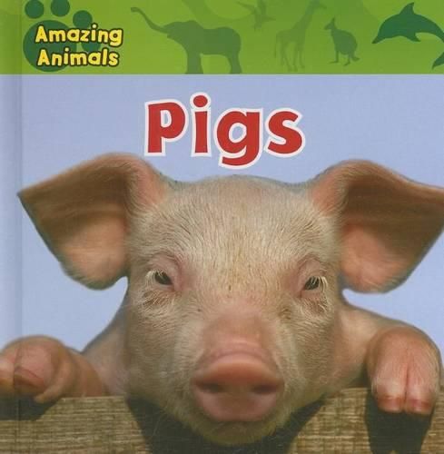 Cover image for Pigs