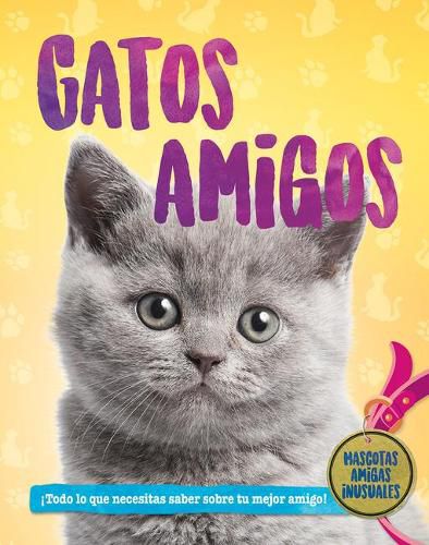 Cover image for Gatos Amigos