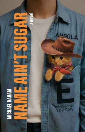 Cover image for Name Ain't Sugar