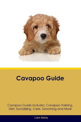 Cover image for Cavapoo Guide Cavapoo Guide Includes