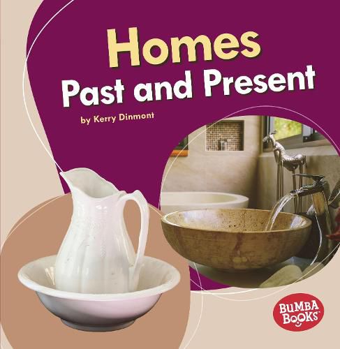 Cover image for Homes Past and Present