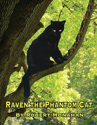 Cover image for Raven The Phantom Cat