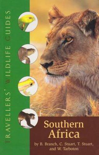 Cover image for Southern Africa