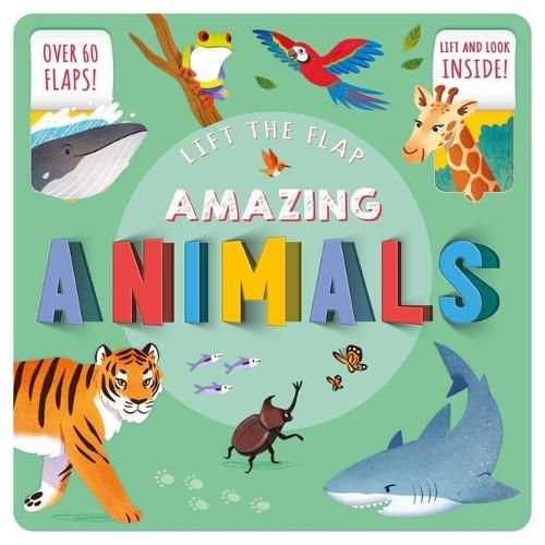 Cover image for Amazing Animals: Lift-The-Flap Fact Book