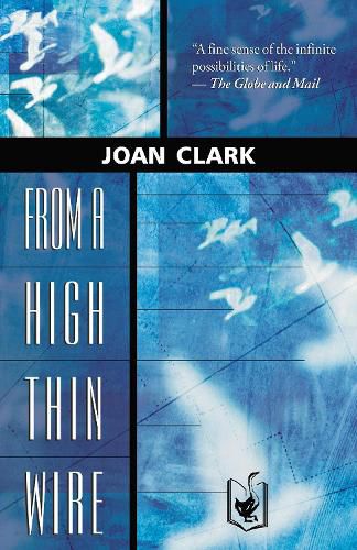 Cover image for From a High Thin Wire