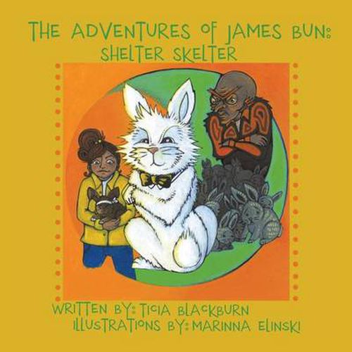 Cover image for The Adventures of James Bun