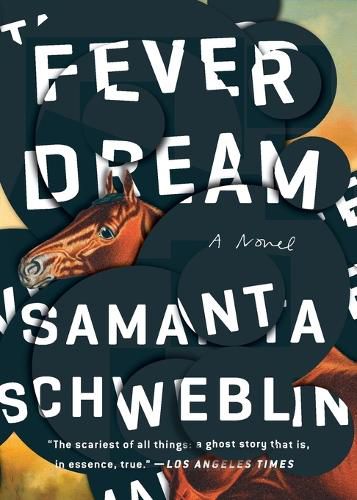 Cover image for Fever Dream: A Novel