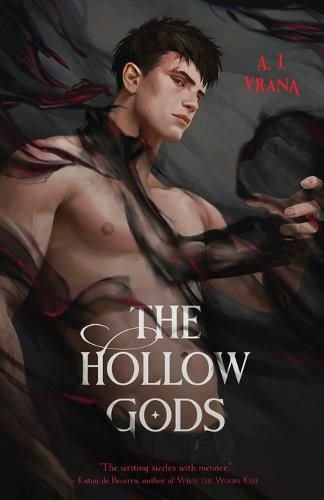 Cover image for The Hollow Gods