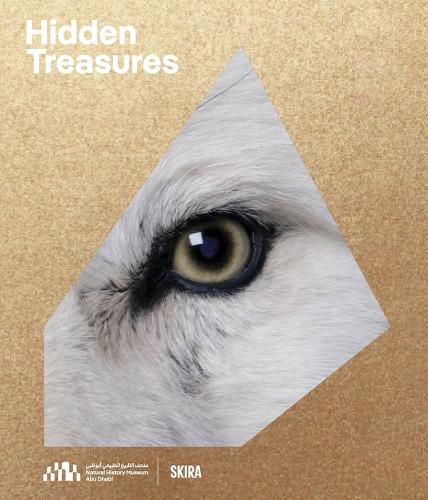 Cover image for The Hidden Treasures of the Natural History Museum Abu Dhabi