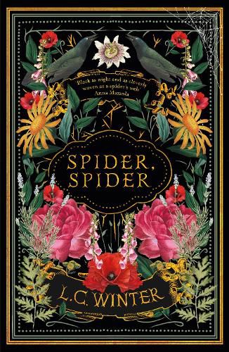 Cover image for Spider, Spider