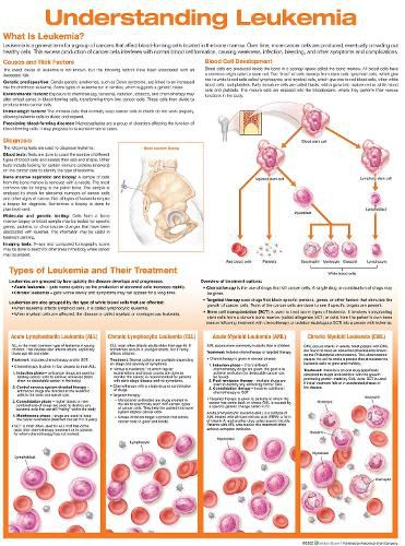 Cover image for Understanding Leukemia Anatomical Chart