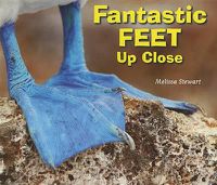 Cover image for Fantastic Feet Up Close