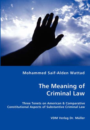 Cover image for The Meaning of Criminal Law