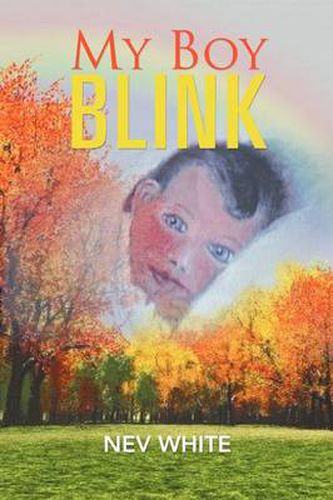 Cover image for My Boy Blink