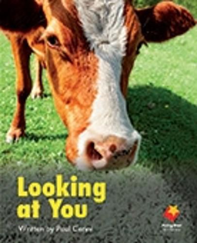 Cover image for Looking at You