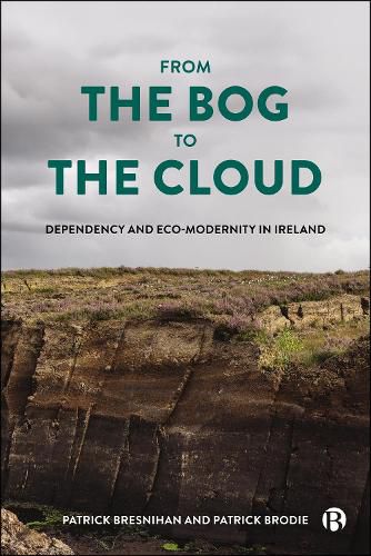 Cover image for From the Bog to the Cloud