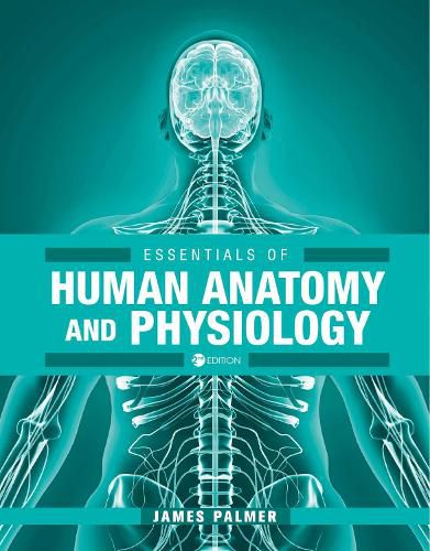 Cover image for Essentials of Human Anatomy and Physiology