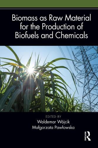 Cover image for Biomass as Raw Material for the Production of Biofuels and