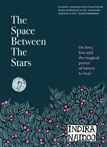 Cover image for The Space Between the Stars
