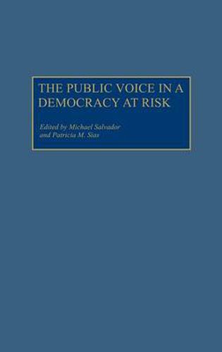 Cover image for The Public Voice in a Democracy at Risk